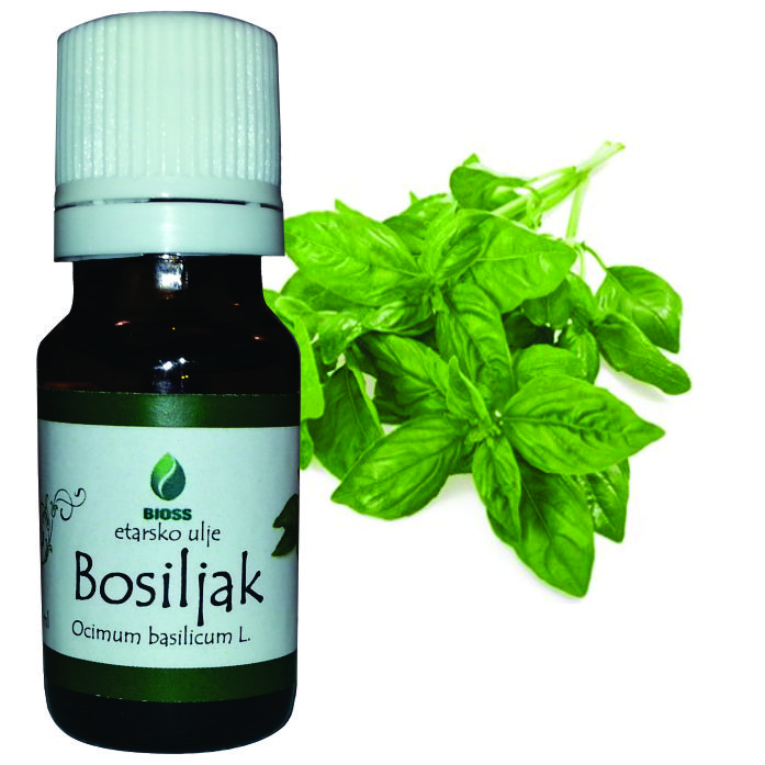 Basil essential oil (Ocimum basilicum)