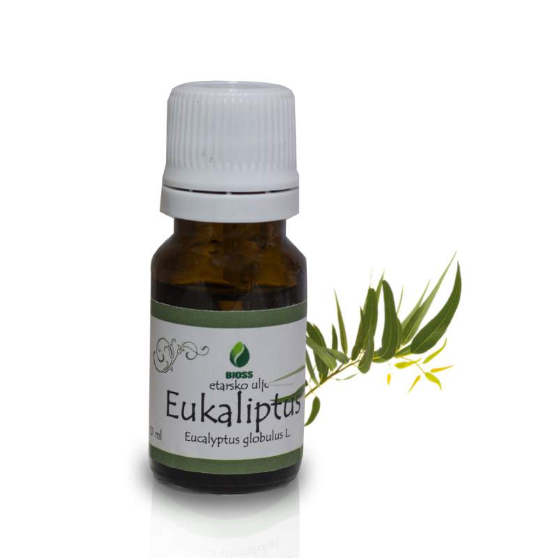 Eucalyptus essential oil (Eucalyptus globulus)