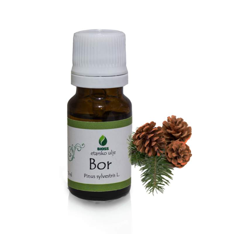 Pine essential oil (Pinus nigra)