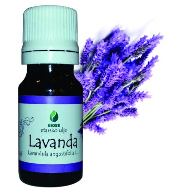 Etarko ulje Lavanda Lavandula angustifolia