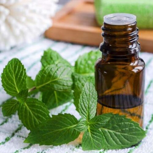 DIJETETSKI SUPLEMENTI